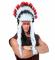 Delux perjanica native indian