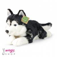 Plišasti husky 36 cm