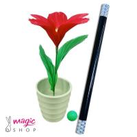 Wand to flower + chop cup