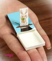 MAGIC RABBIT BOX