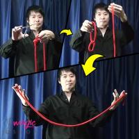 TAROPE 2 rope revolution