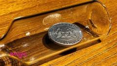 REAL COIN IN BOTTLE