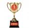 Pokal winner
