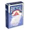 Bicycle both side blank 08662