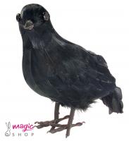 Črna vrana dekor 25 cm