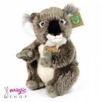Koala plišasta 22 cm